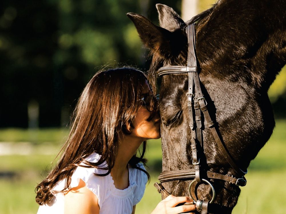 Actividades asistidas con caballos · Estancia Guayascate